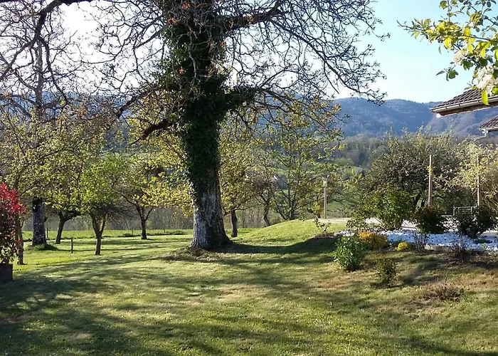 Le jardin de Moun